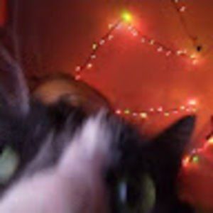 Meet your Posher, Elliot